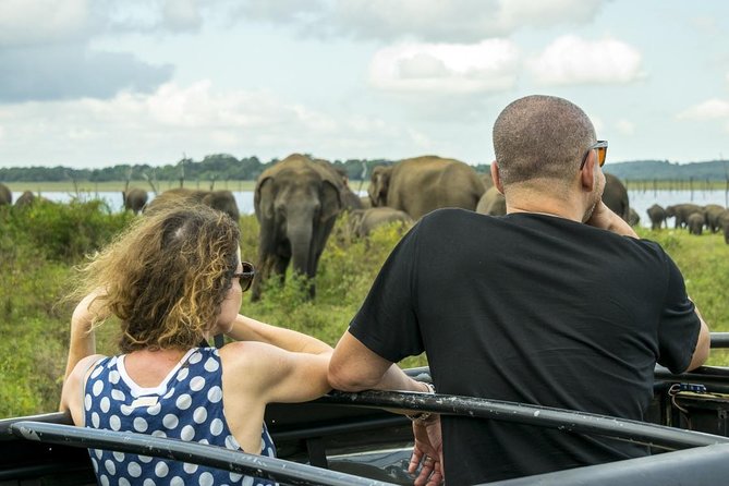 GO WILD! Double Safari Day Trip (Yala & Udawalawe) - Private & All Inclusive - Elephant Transit Home: seeing conservation work up close