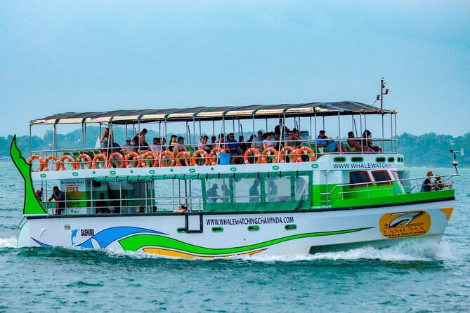 Great Whales Education Programe Dolphins and Whales are in SL - When a boat trip doesn’t work out, this still helps