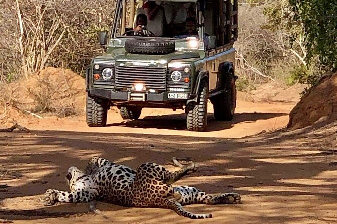 Guided Leopard Safari in Yala National Park in a Land Rover Defender - Price and value: what you really pay, and what you get