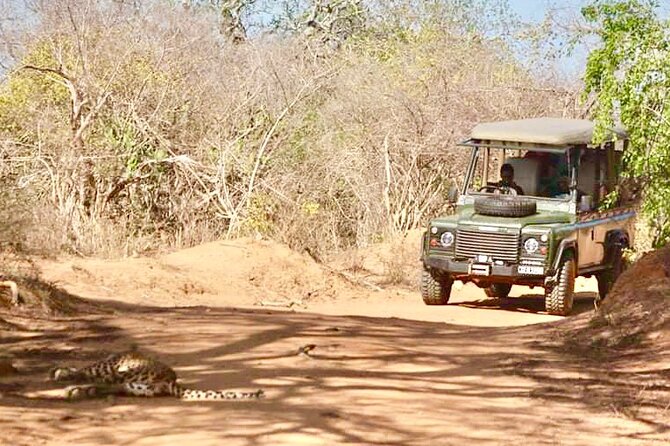 Guided Leopard Safari in Yala National Park in a Land Rover Defender - Who this safari is best for