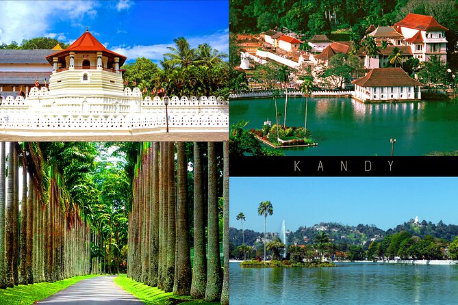 Half-Day Kandy City Tour by Tuk Tuk - Kandy by tuk tuk: why this half day works