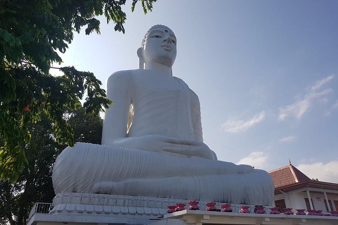 Half-Day Kandy City Tour by Tuk Tuk - Stop 1: Royal Botanical Gardens, Peradeniya for the easy start