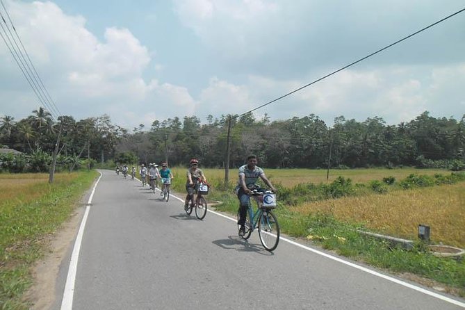 Half-Day Lagoon and Village Cycling Tour in Galle - What this Galle cycling tour is really about