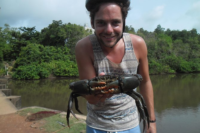 Half-Day Lagoon and Village Cycling Tour in Galle - Mangroves and lagoons: the “wildlife without a zoo” part