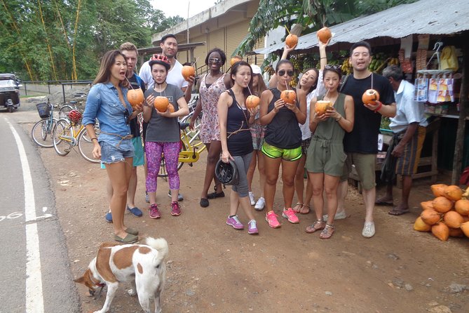 Half-Day Lagoon and Village Cycling Tour in Galle - Factories, rope making, handloom, and the coconut stop you’ll remember