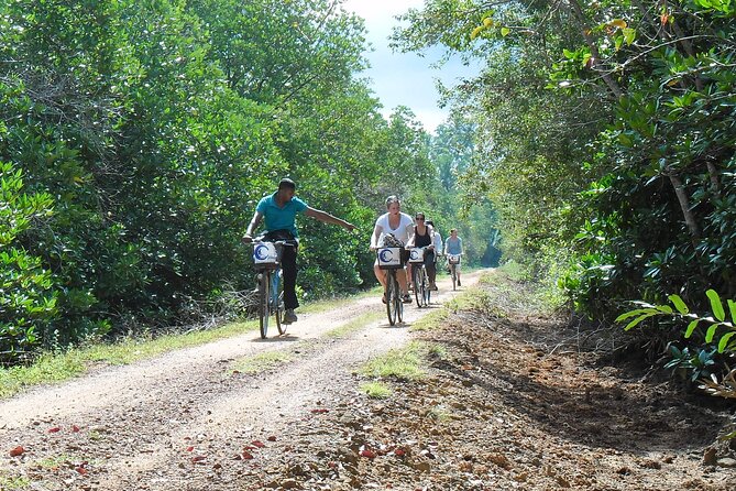 Half-Day Lagoon and Village Cycling Tour in Galle - Getting started at Chameera Cycling, and why the logistics matter