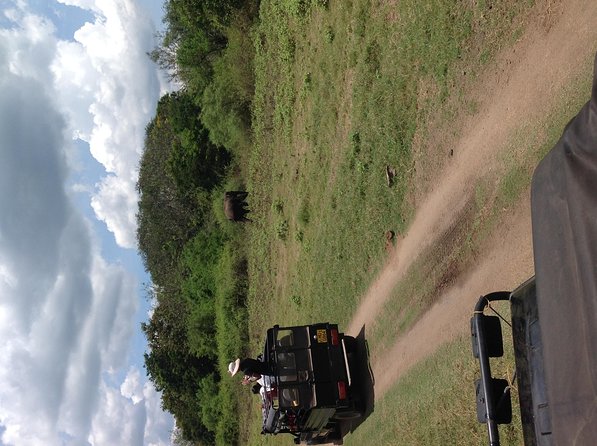Half Day - Minneriya National Park Safari Tour From Habarana/Sigiriya - Hotel Pickup and Private 4x4 Safari Jeep: The Logistics You Actually Feel