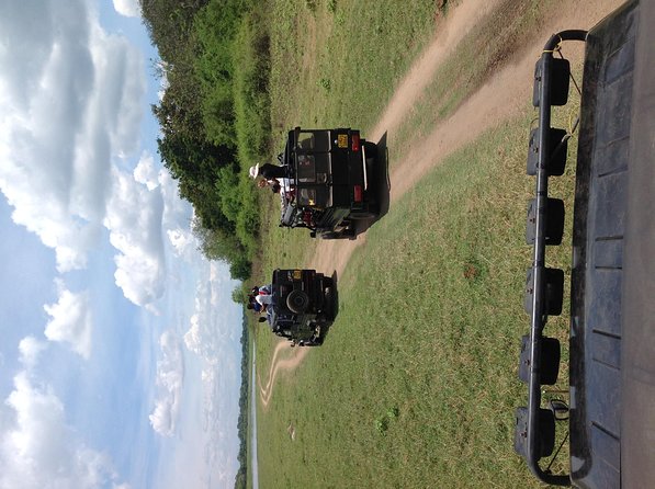 Half Day - Minneriya National Park Safari Tour From Habarana/Sigiriya - Customizable Private Safari: Small Changes That Matter