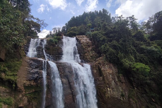 Half-Day Private Trip to Waterfalls and Tea Factory - Damro Labookellie Tea Centre and Tea Garden: your first tasting with real context