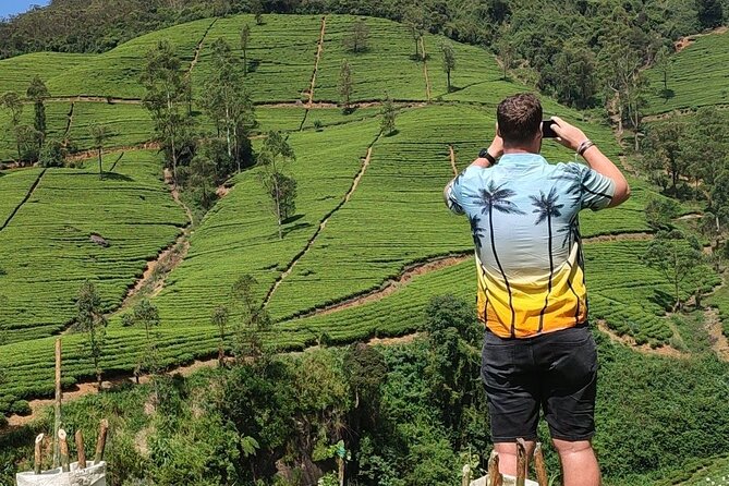 Half-Day Private Trip to Waterfalls and Tea Factory - Gregory Lake as a flexible finale, not a rushed afterthought