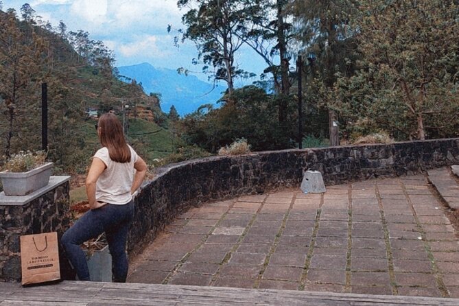 Half-Day Private Trip to Waterfalls and Tea Factory - Price and logistics: is $25 per person worth it?