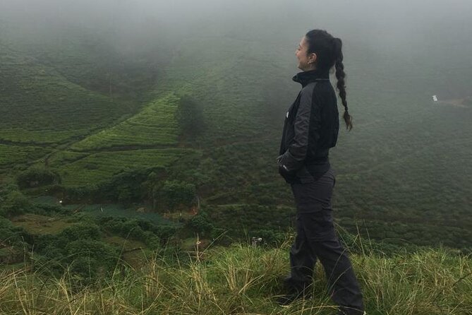 Half-Day Private Trip to Waterfalls and Tea Factory - Who this tour fits best, and who should rethink it