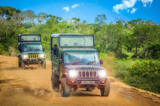 Half Day Safari at Yala National Park with Lunch - Stop in the Right Place: Palatupana and the Morning Start