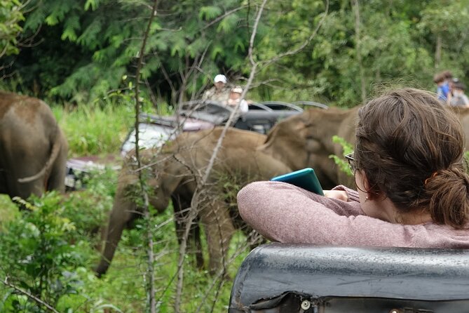 Half Day Safari Guided Tour - Stop 4 at Elephant Transit Home (ETH): what to expect from a care-focused stop