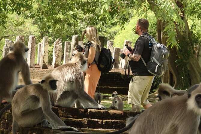 Half Day Safari Guided Tour - What the 4 stops mean for your wildlife odds