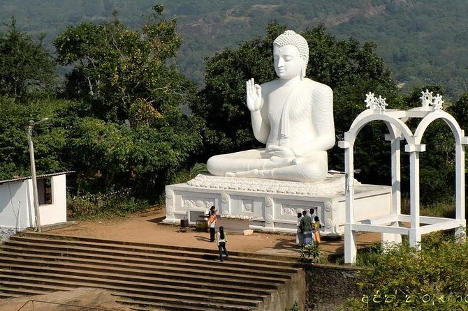 Half day tour - in Sacred city of Anuradhapura Or sacred city of Mihintale. - Jaya Sri Maha Bodhi in Mahamewna Gardens: start where the story begins