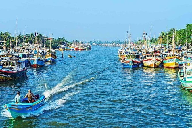 Half Day Tour to Muthurajawela, Lagoon, Dutch Canal and Mangroves - Bird watching on a short schedule: what to focus on