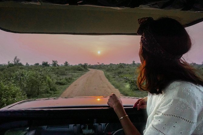 Half Day Udawalawe Safari from Kalutara (Entrance + Lunch) - Lunch at a local restaurant: refuel without turning it into a detour