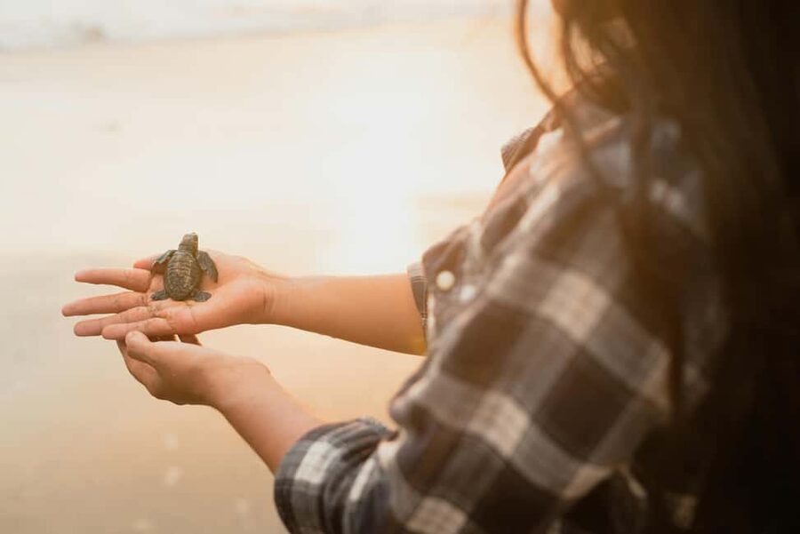Hambantota Port: Galle Fort ,River Safari & Sea Turtle Visit - From Hambantota Port to Galle Fort, the route makes sense