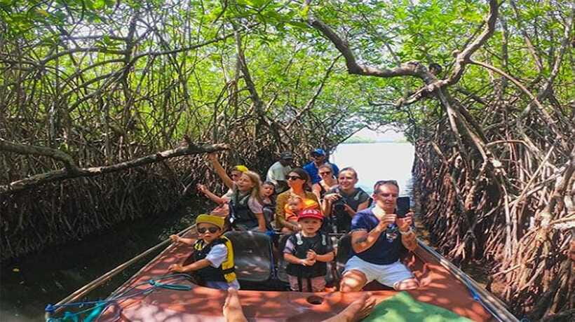 Hambantota Port: Galle Fort ,River Safari & Sea Turtle Visit - Kosgoda turtle conservation: the education side is the point