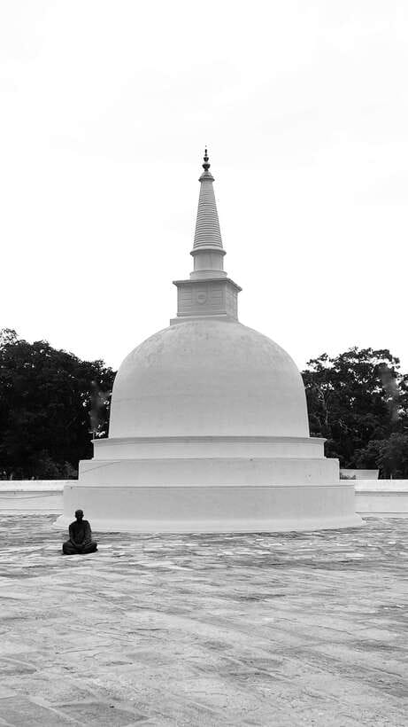 Hambantota Shore Excursion: Village and Cultural tour - Price and Value: Is $60 for 5 Hours a Fair Deal?