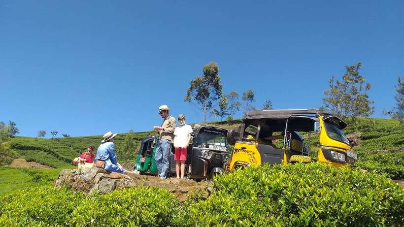 Haputale:Glorious Tuk Tuk Ride to Lipton'sSeat & Tea Factory - Dambatenne Tea Factory: Turning Tea-Field Looks Into Real Processes