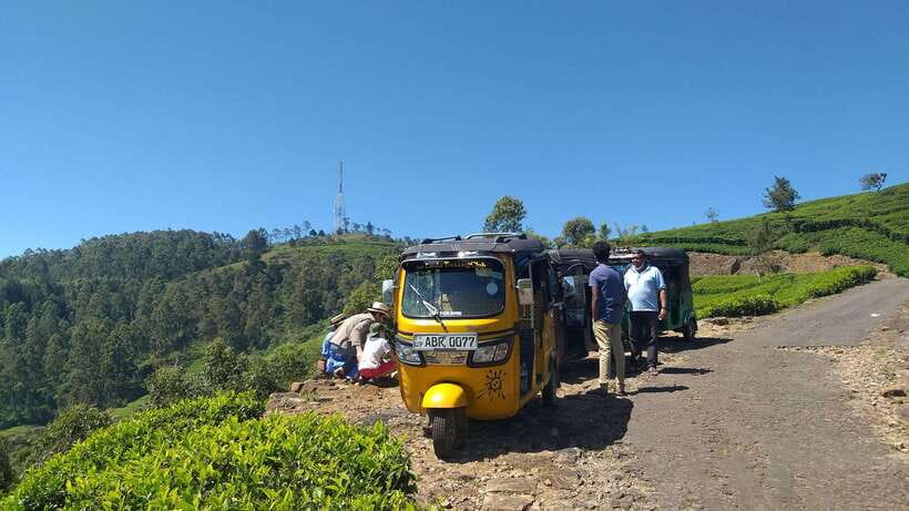 Haputale:Glorious Tuk Tuk Ride to Lipton'sSeat & Tea Factory - Tea Tasting: The Small Ending That Makes It All Coherent