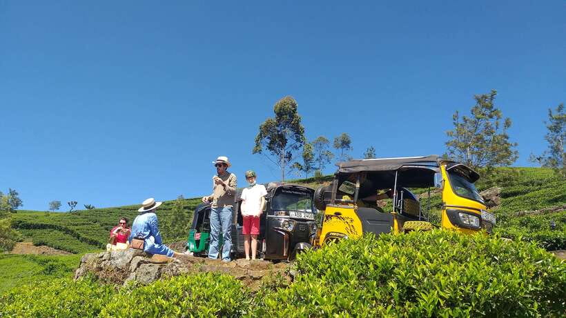 Haputale:Glorious Tuk Tuk Ride to Lipton'sSeat & Tea Factory - Price and Value: What $35 Buys You in a Tea Country Day