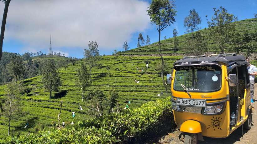 Haputale:Glorious Tuk Tuk Ride to Lipton'sSeat & Tea Factory - Who This Tuk Tuk Tea Tour Suits Best (And Who Might Skip It)