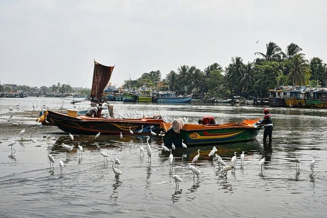 Heritage & Cultural Walk in Negombo - The Lagoon Connection: How Negombo Feels Coastal
