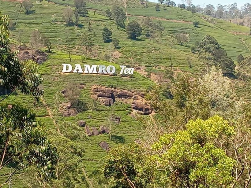 High-Grown Tea & Waterfall Wonders of Nuwara Eliya by tuktuk - Damro Tea Factory: a guided intro with panoramic views and tea tasting