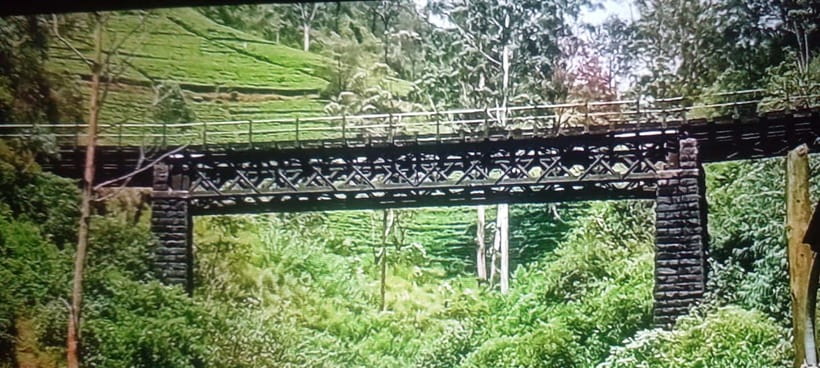 High-Grown Tea & Waterfall Wonders of Nuwara Eliya by tuktuk - Lake Gregory finish: a calm ending after tea and water
