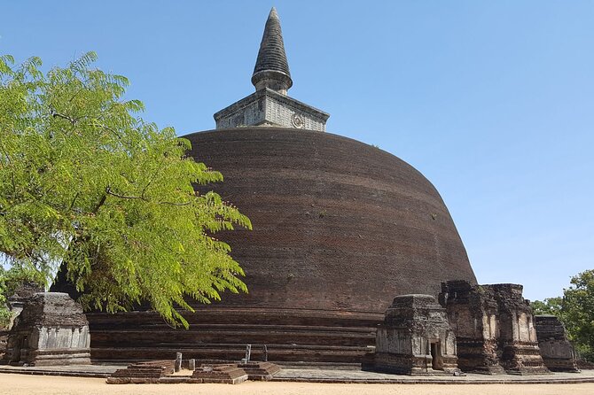 Highlights of Sri Lanka 8 Days Private Tour - How this private tour works for real life