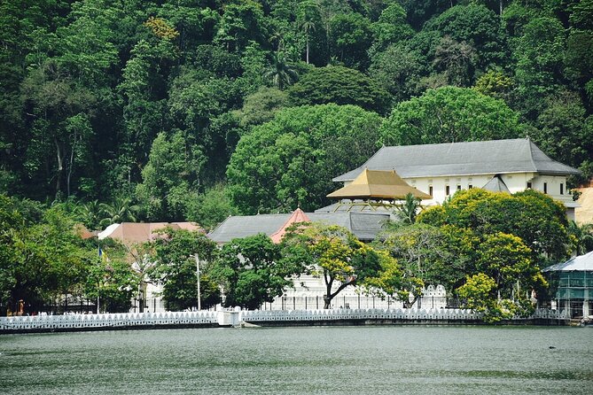 Highlights of Sri Lanka 8 Days Private Tour - Day 4 Temple of the Tooth Relic, Peradeniya gardens, Ramboda, and tea at Damro Labookellie