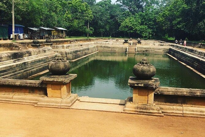 Highlights of Sri Lanka 8 Days Private Tour - Day 6 Ravana Ella Falls and Udawalawa Elephant Transit Home