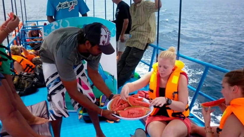 Hikkaduwa/Galle/Ahangama: Whale Watching Tour in Mirissa - Key highlights you should care about