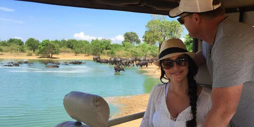 Hikkaduwa/Galle/Unawatuna/Mirissa: Udawalawa Safari - Key highlights you will care about