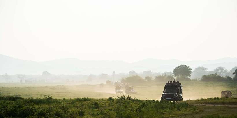 Hikkaduwa/Galle/Weligama/Mirissa: Yala National Park Safari - From Hikkaduwa, Galle, and Mirissa to Yala, The Early Start
