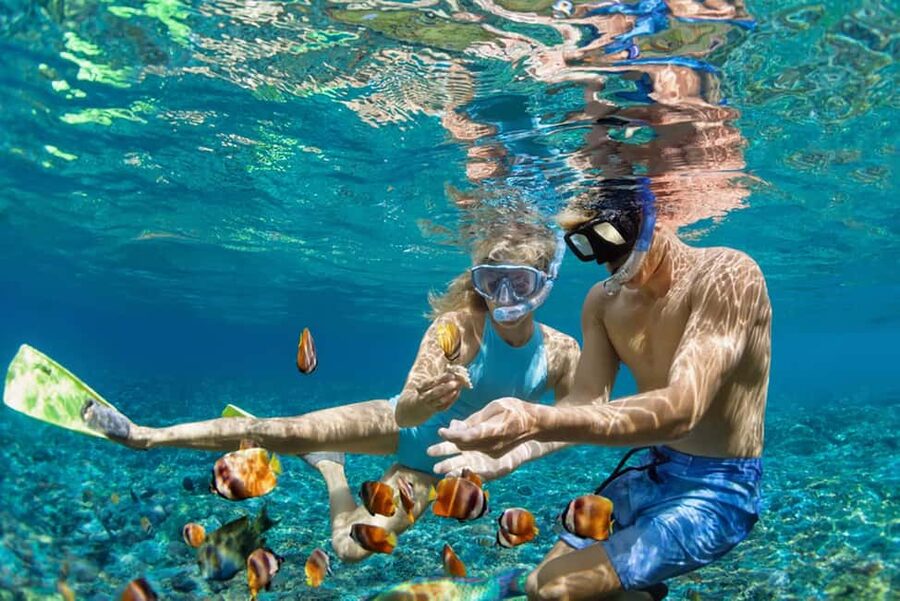 Hikkaduwa Snorkeling Tour: 2 Hours of Underwater Adventure - What you’ll see: coral, reef fish, and possible turtles