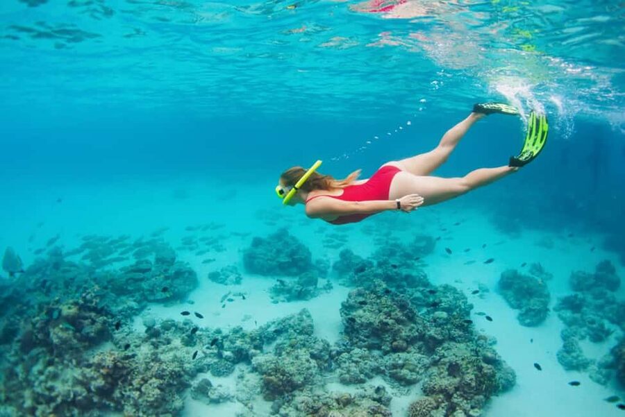 Hikkaduwa Snorkeling Tour: 2 Hours of Underwater Adventure - Hikkaduwa Marine Sanctuary snorkeling, with an instructor keeping you on track
