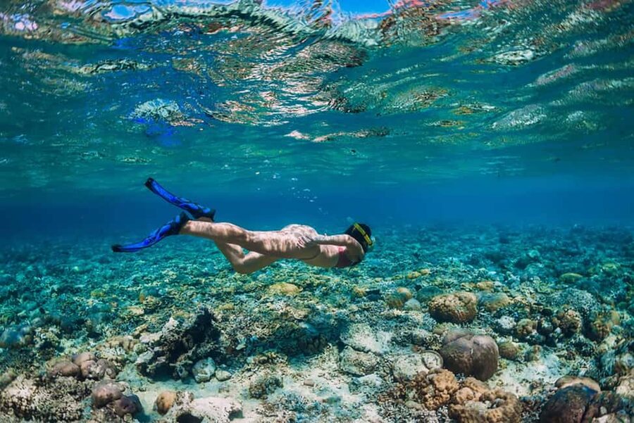 Hikkaduwa Snorkeling Tour: 2 Hours of Underwater Adventure - After snorkeling: showers, changing rooms, and king coconut