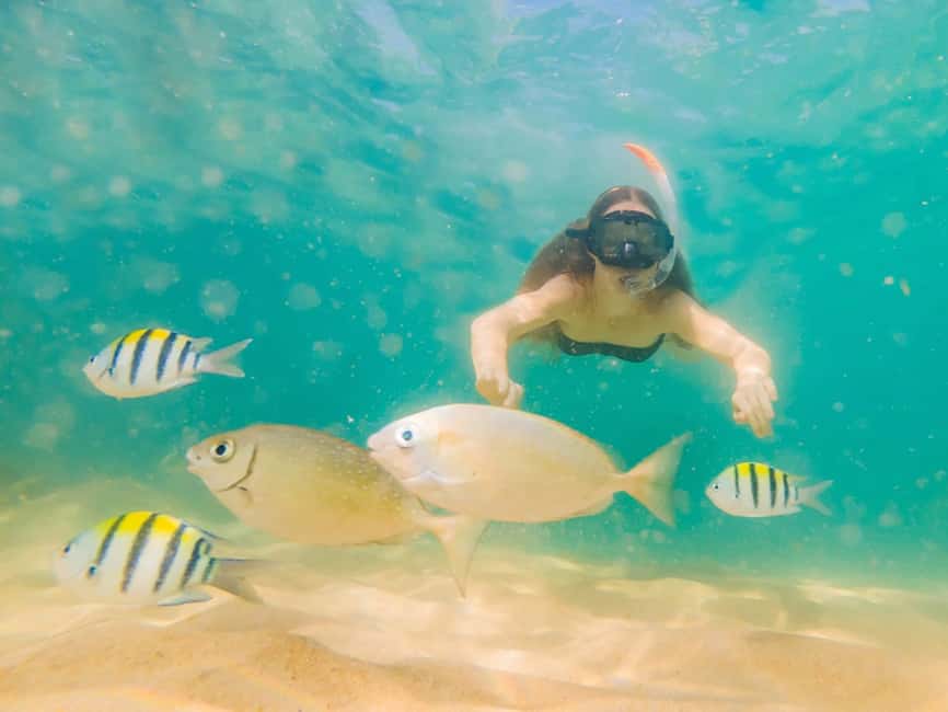 Hikkaduwa Snorkeling Tour: 2 Hours of Underwater Adventure - Should you book this Hikkaduwa snorkeling tour?