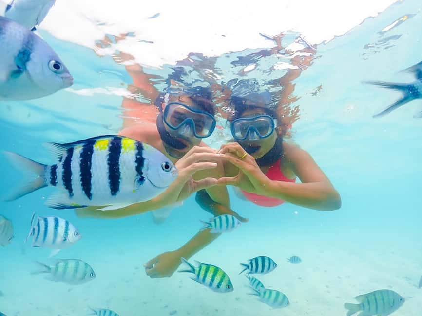 Hikkaduwa Snorkeling Tour: 2 Hours of Underwater Adventure - Gear is included, and that changes the whole experience