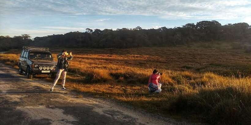 Horton plains: Discover real essence of central highland - Why Horton Plains starts before sunrise