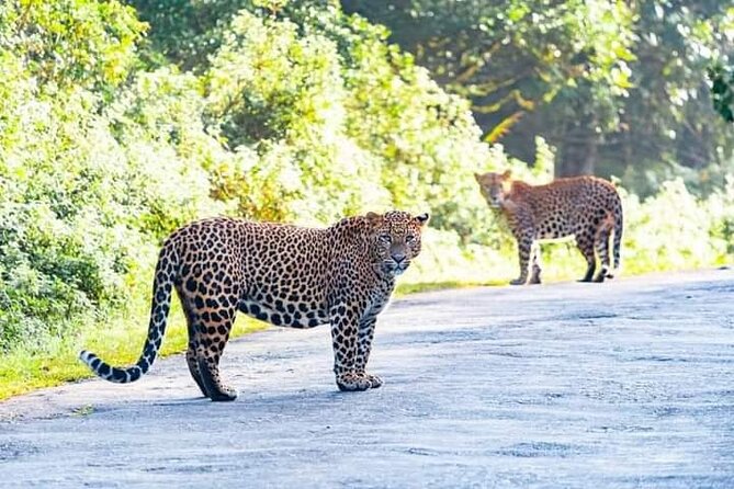 Horton Plains National park in Nuwara eliya - Price and value: what $45 per group really buys
