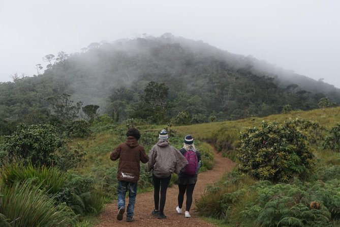 Horton Plains National park in Nuwara eliya - Morning pickup and the flow into Horton Plains