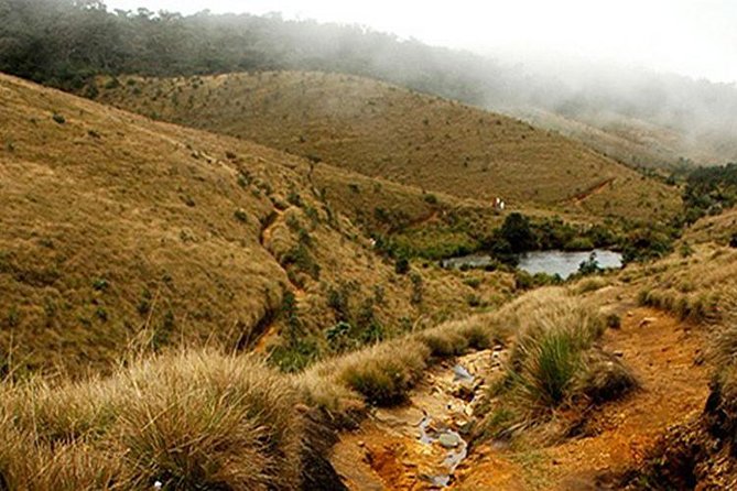 Horton Plains-World's End Tour and Tea Factory Tour From Nuwaraeliya - Key highlights