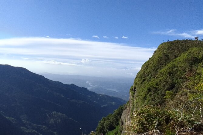 Horton Plains-World's End Tour and Tea Factory Tour From Nuwaraeliya - Why Horton Plains and World’s End feel different with a guide