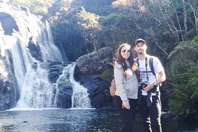 Horton Plains-World's End Tour and Tea Factory Tour From Nuwaraeliya - Damro Labookellie Tea Centre and Tea Garden: the perfect cooldown after the trek
