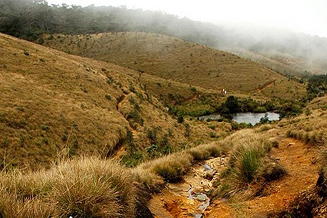 Horton Plains-World's End Tour From Nuwaraeliya - Key things I’d plan around